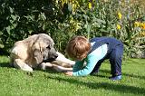ENFANT ET CHIEN 601